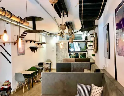 Neko Cafe ul. Prosta- Kocia Kawiarnia w Toruniu